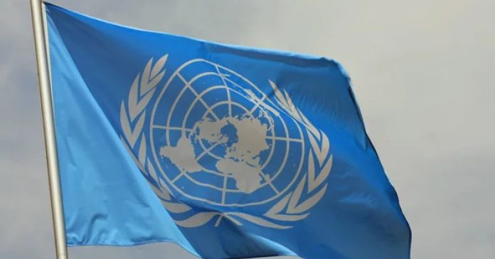 ООН передбачає зменшення темпів зростання світової економіки до 2,4% у поточному році