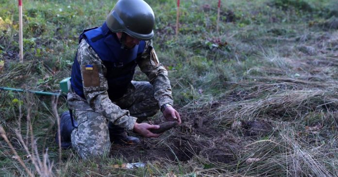 Оператори протимінної діяльності зможуть отримати сертифікацію через 