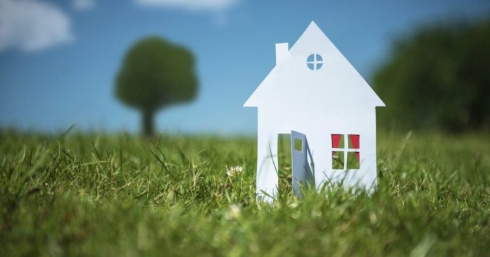 Під Київською областю спостерігається активне скупівля землі під будівництво: які зміни в цінах