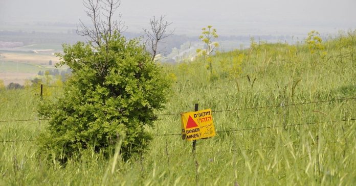 Державна програма розмінування: агрономи отримали назад більше 2 тисяч гектарів землі