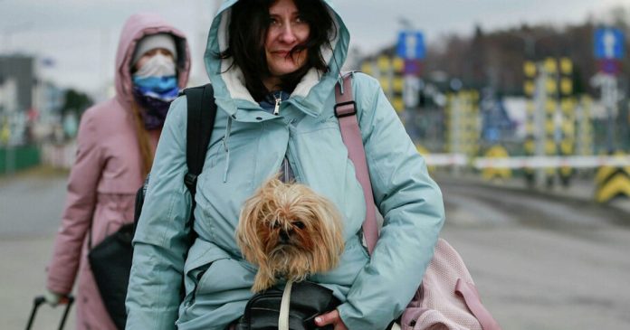 Основні причини відмов у оренді житла для переселенців