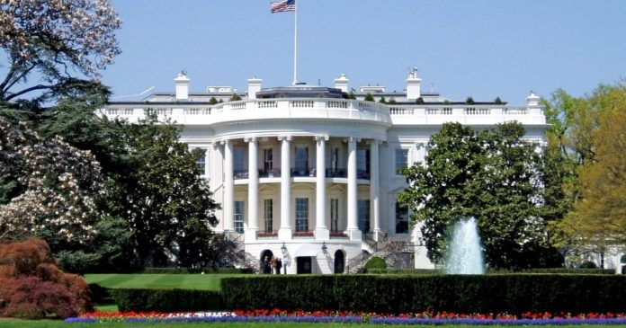 Уряд Трампа готовий виплатити $10 000 співробітникам за ідеї щодо зменшення державних витрат: деталі ситуації