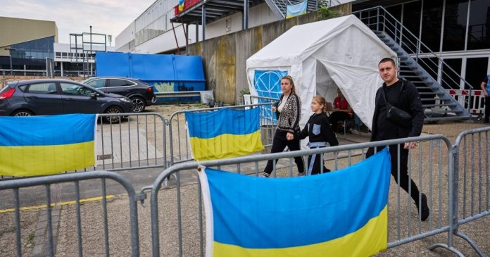 Нідерланди коригують умови для біженців: чоловікам з України пропонують оплачувати проживання самостійно