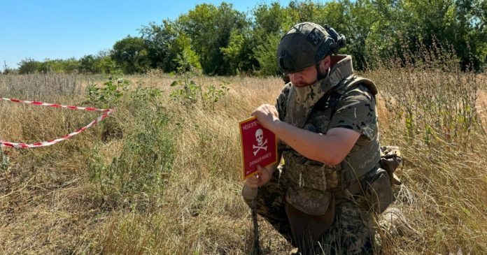 Очищення агроділянок від мін на 120 млн грн: новини про гумрозмінування у вересні