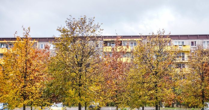 У жовтні значно зменшилася пропозиція квартир на продаж: які зміни сталися з цінами