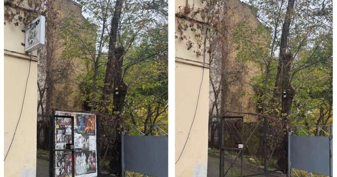 У 2025 році в Києві ліквідували понад 20 тисяч незаконних рекламних конструкцій