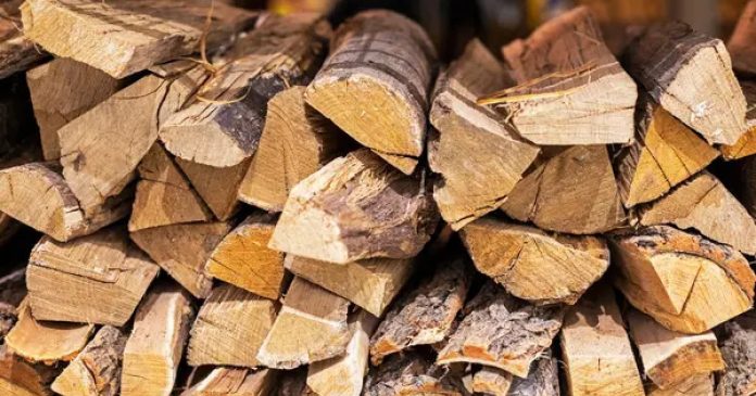 У Дніпрі виявили великі махінації на закупівлі дров для ЗСУ з збитками у 7,5 млн грн