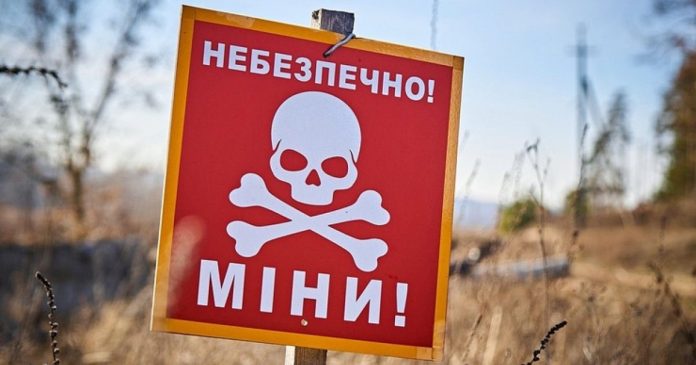 У 2025 році Міноборони розчистило 66 тисяч гектарів звільнених територій від мін
