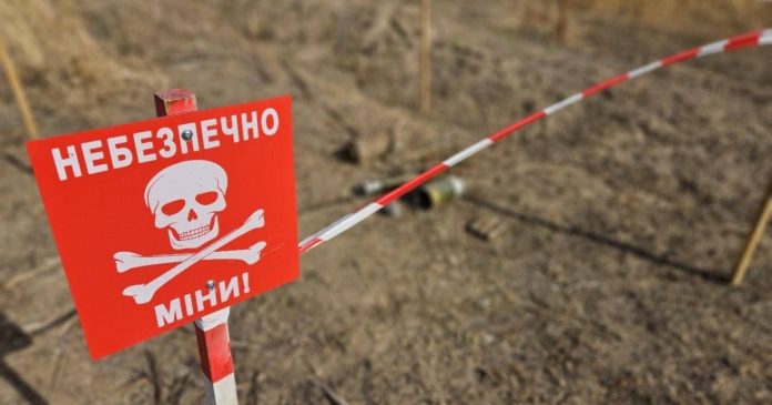 Зменшення витрат на розмінування за підтримки UNITED24: економія понад 8 млн грн