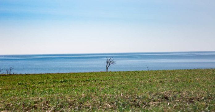 Сума збитків від нелегального вилову Росії в українських морях перевищила 8 мільярдів гривень