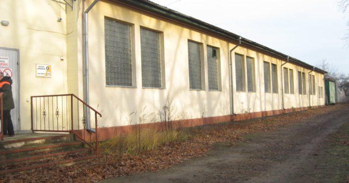 У Хмельницькій області виставлено на продаж цех для переробки деревини: скільки коштує початковий етап
