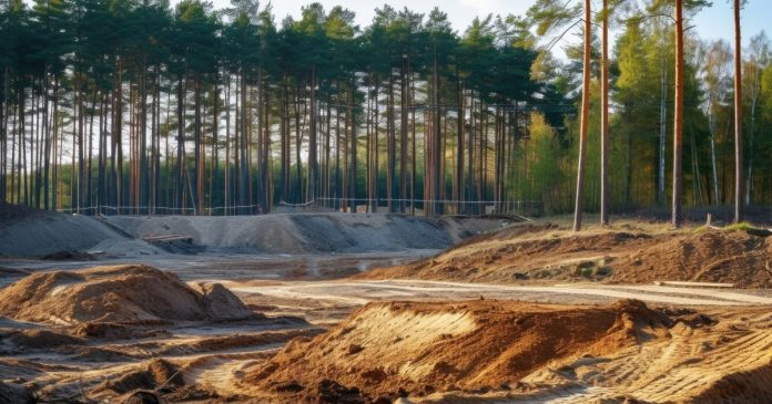 Забудова чи сільське господарство: які земельні ділянки є найбільш перспективними для інвестицій сьогодні